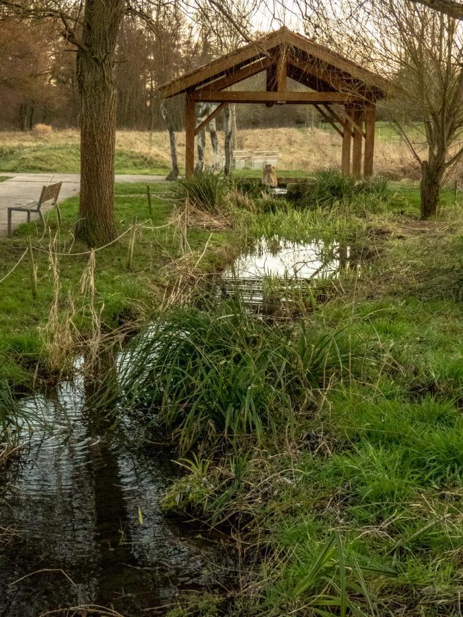 Le Domaine Des Droles De Dames Pension Buding Buitenkant foto