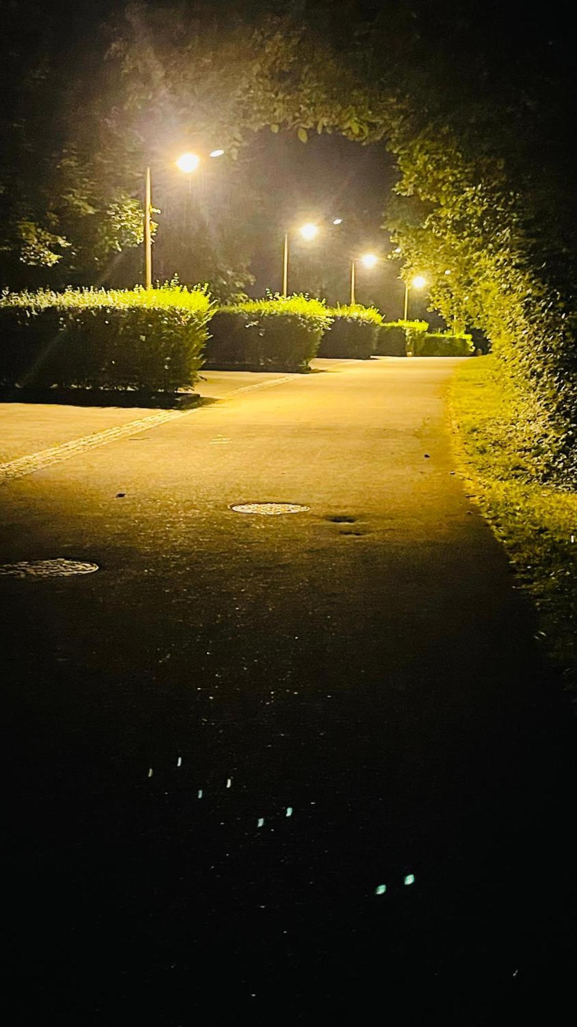Le Domaine Des Droles De Dames Pension Buding Buitenkant foto